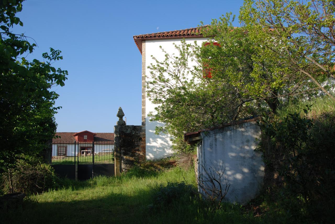 Quinta Da Alagoa Villa Santa Maria de Émeres Buitenkant foto